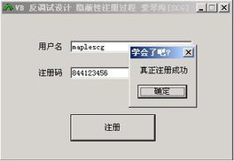 VB共享軟件防破解設(shè)計技術(shù)初探